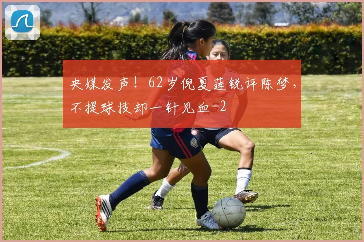 央媒发声！62岁倪夏莲锐评陈梦，不提球技却一针见血