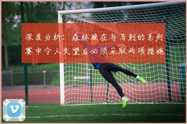 深度分析：森林狼在与马刺的系列赛中令人失望后必须采取两项措施_1