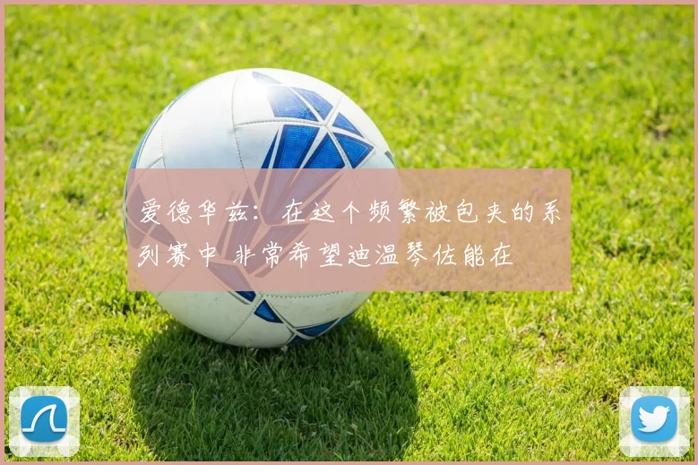 爱德华兹：在这个频繁被包夹的系列赛中 非常希望迪温琴佐能在