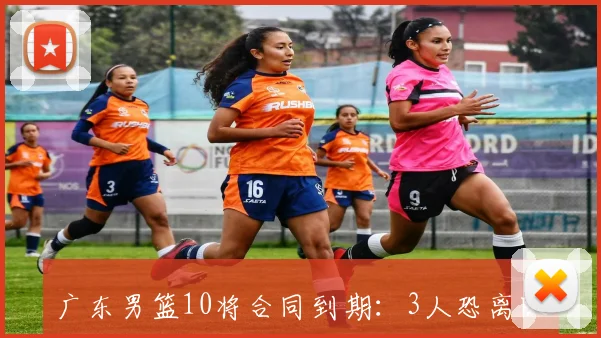 广东男篮10将合同到期：3人恐离队，3外援走人，1将或转型教练