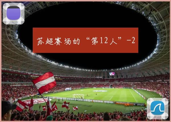 苏超赛场的“第12人”