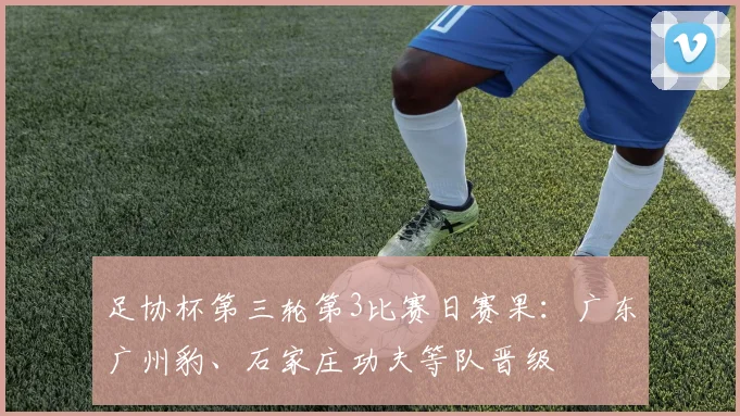 足协杯第三轮第3比赛日赛果：广东广州豹、石家庄功夫等队晋级