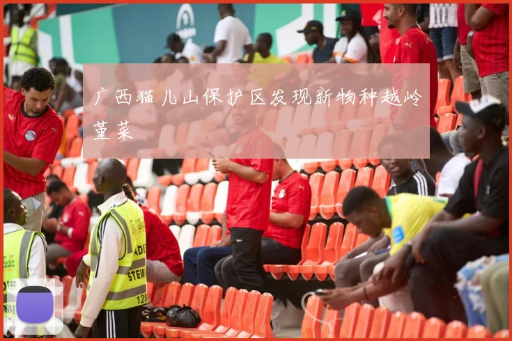 广西猫儿山保护区发现新物种越岭堇菜